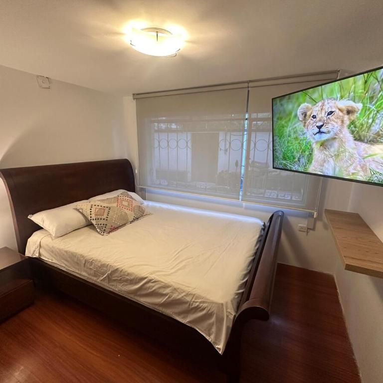 A 2-bedroom apartment - Apartamento de 2 dormitorios - 9