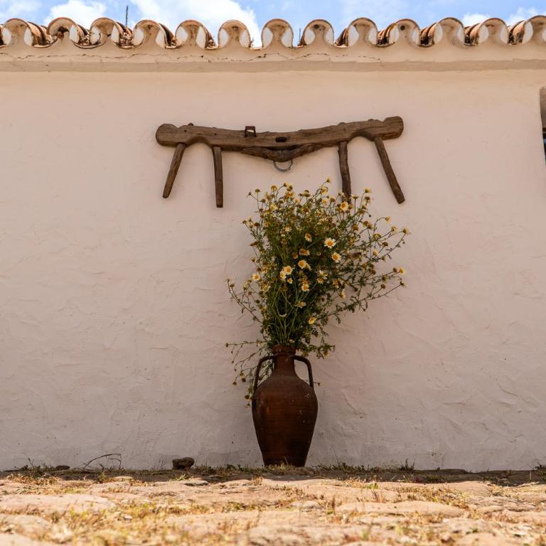 Finca Santa Teresa, Casa La Higuera - Chalet de 1 dormitorio - 15
