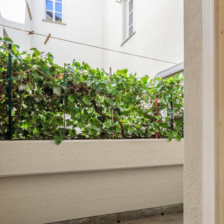 Suite 1824 - Heritage Collection Alpines - One-Bedroom Apartment - 10