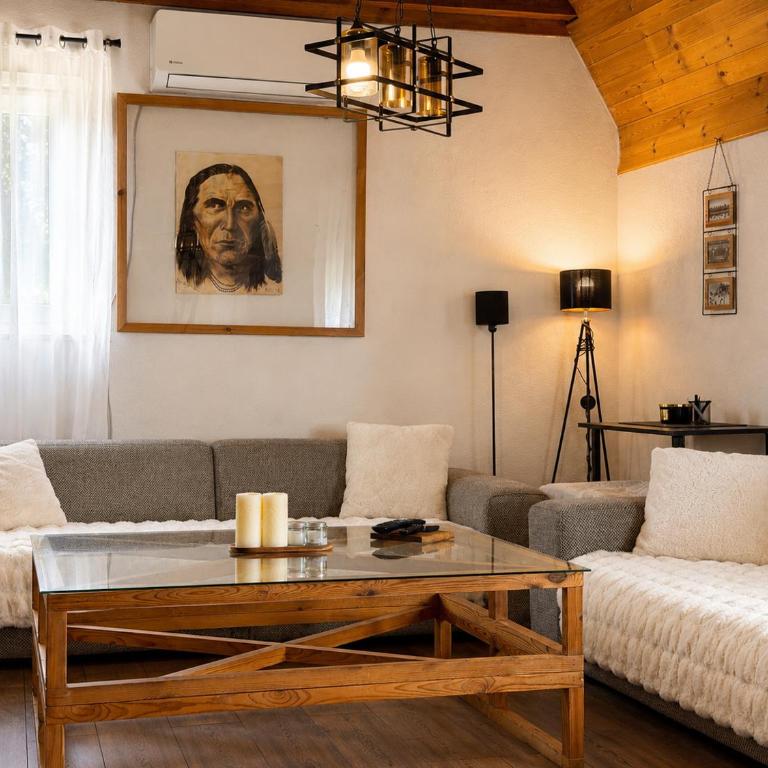 Stay Wild - One-Bedroom Chalet - 31