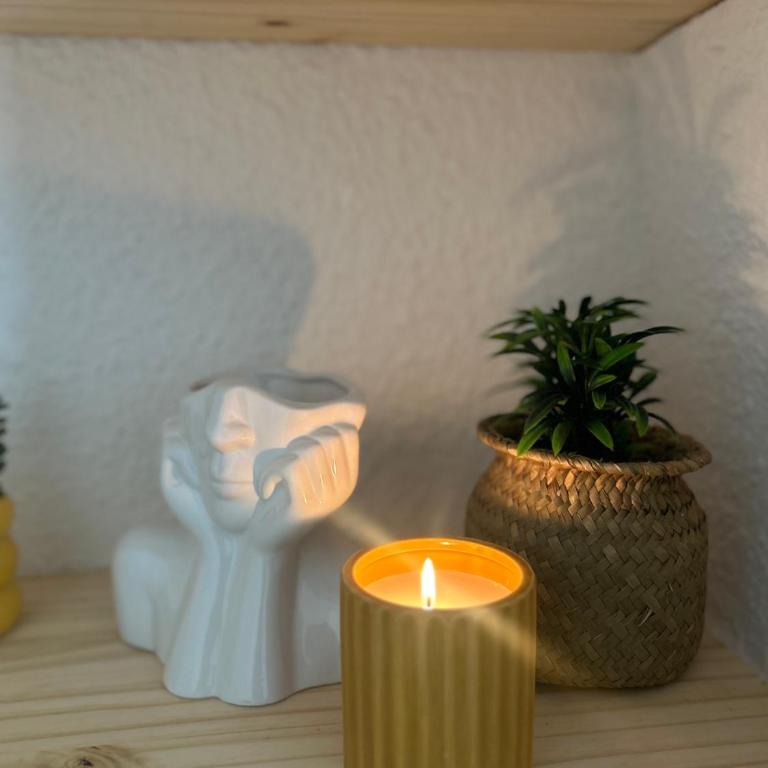 4 seasons Carcassonne - Villa 2 Chambres - 10