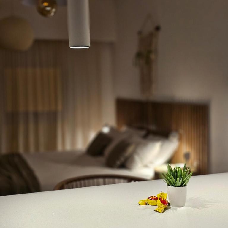 Estudio exclusivo Casco Histórico Buenos Aires - Apartamento de 1 dormitorio - 29