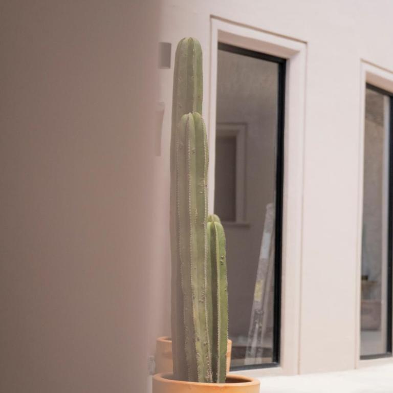 Patio 7 Studios - Apartment - Ground Floor - 2