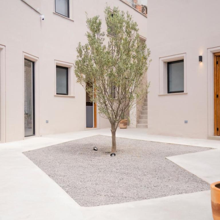 Patio 7 Studios - Apartment - Ground Floor - 1