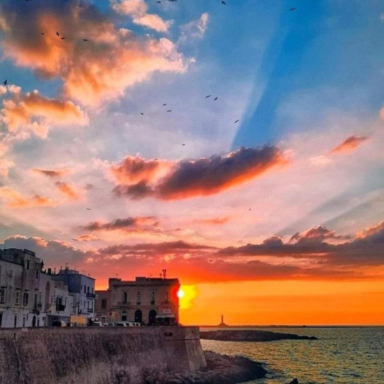 Lola's Gallipoli - Appartamento con 1 Camera da Letto - 36