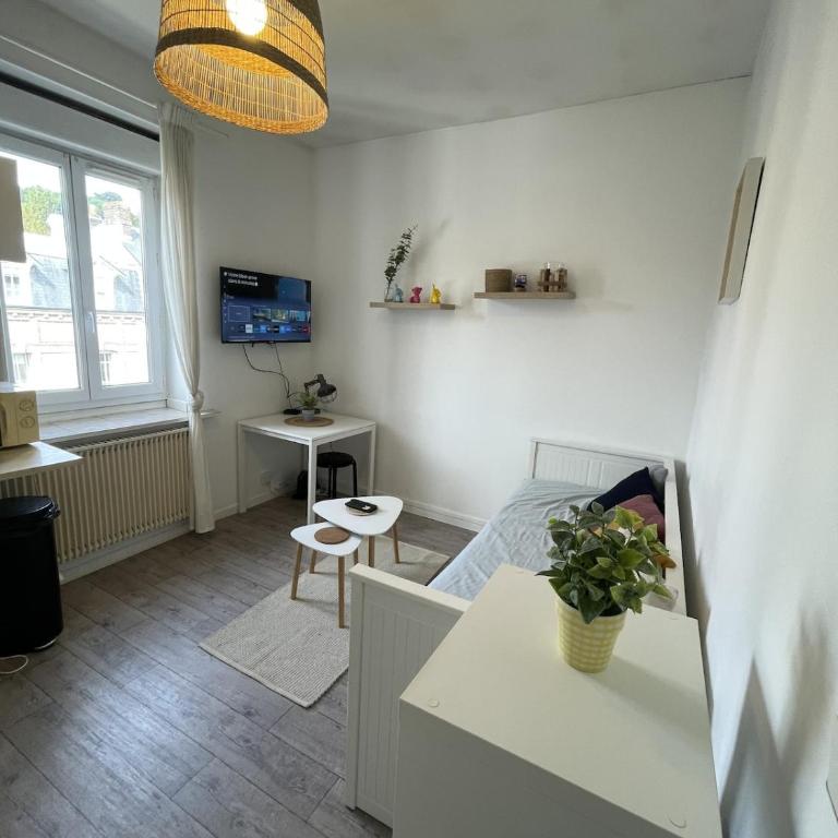 Cozy studio - Rouen Station - Historic Center - Apartamento de 1 dormitorio - 13