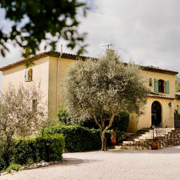 Luxury 7 bedroom villa with pool and independent cottage - Villa - 3