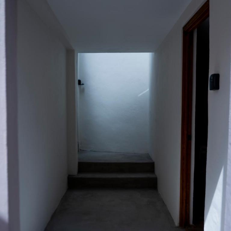 Patio 7 Studios - Apartment - 9
