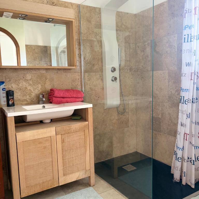 Grand Appt 6P climatisé dans villa avec piscine - 8 kms de Cannes - Appartement 2 Chambres - 3