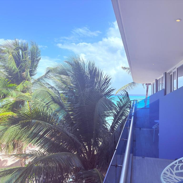 Oceanfront King Suite with Stunning Ocean View - Deluxe King Studio - 37