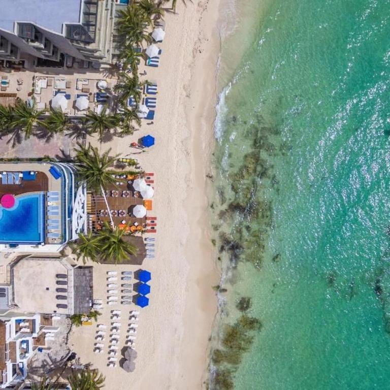 Oceanfront King Suite with Stunning Ocean View - Deluxe King Studio - 48