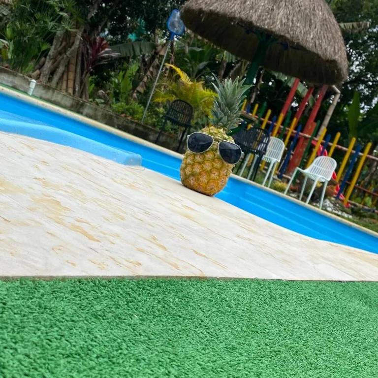 El Encanto Eco-Hotel Glamping - Tienda - 7