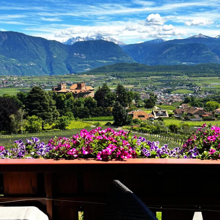 Wolkanhof Vineyard Apartments - Appartamento con 1 Camera da Letto e Balcone - 11