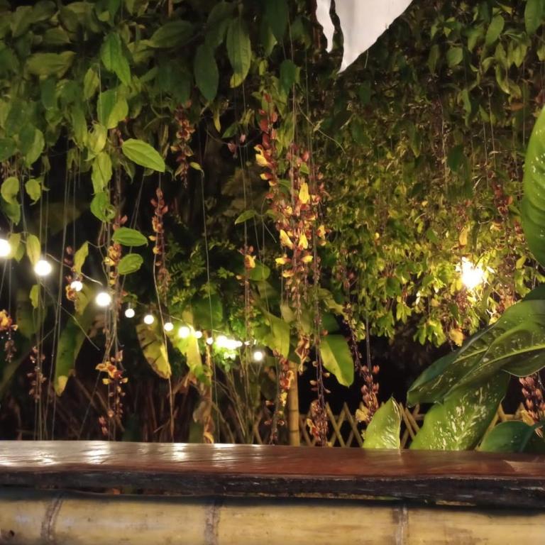 El Encanto Eco-Hotel Glamping - Tienda - 3