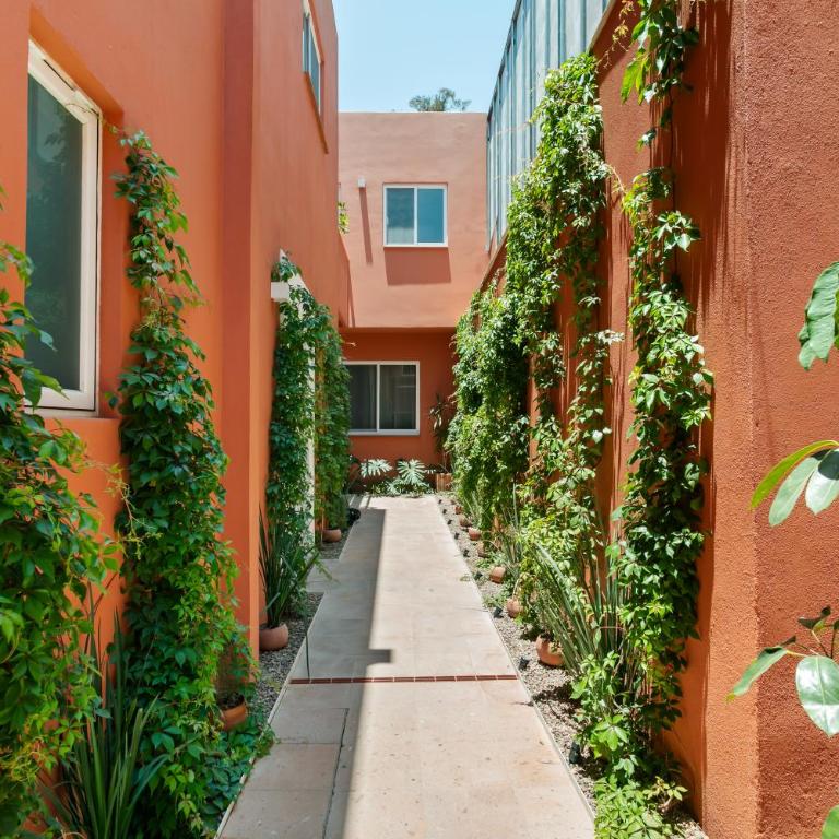 Luis Pasteur By Homirent - One-Bedroom Apartment - 22