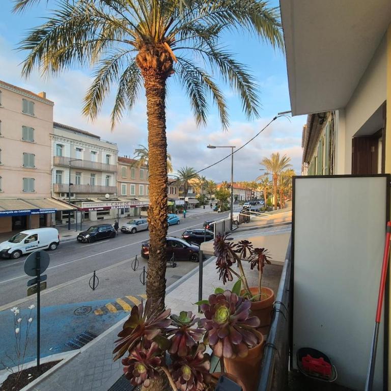 Appartement au premier étage au centre ville - Appartement 1 Chambre - 2