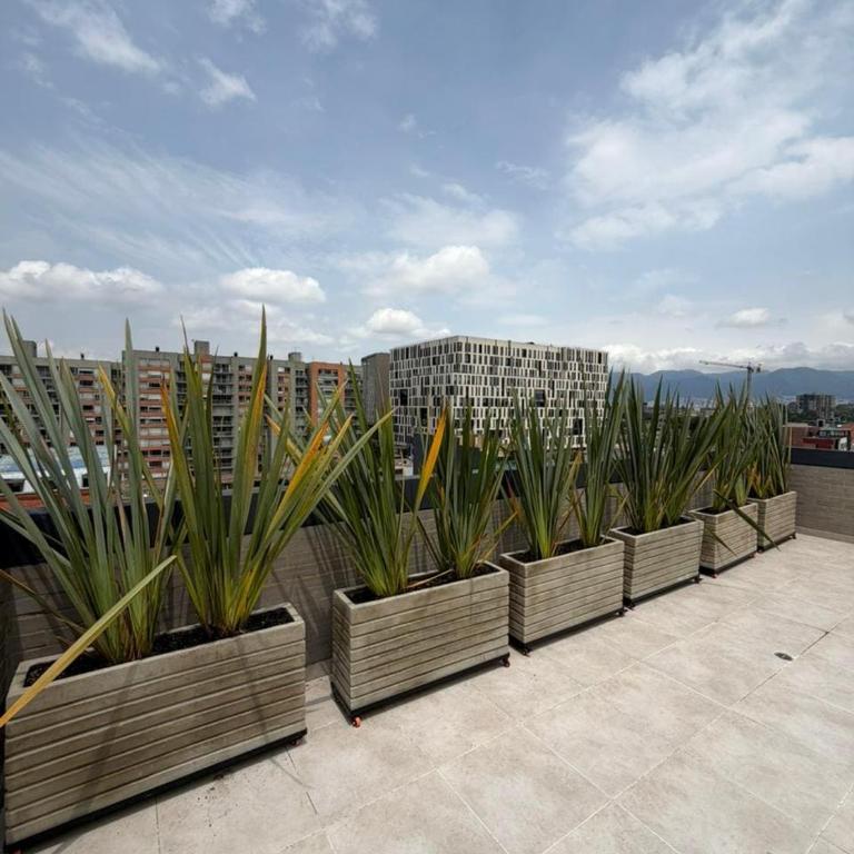 Luxury Loft 101 Jacuzzi, from Airport, Wi-Fi Modelia - Apartamento de 1 dormitorio - 4