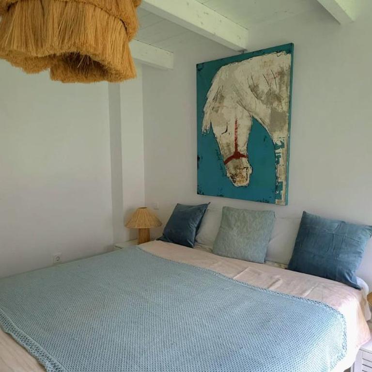 Oasis Lajares Charming oasis with pool and garden in Lajares - Villa de 3 dormitorios - 47