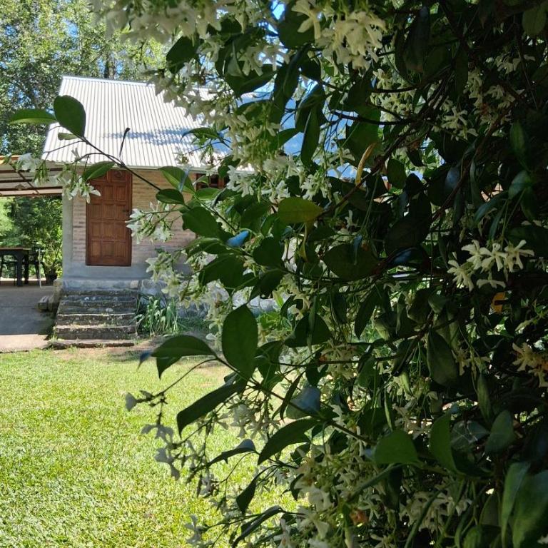 la riviere - Chalet de 2 dormitorios - 33