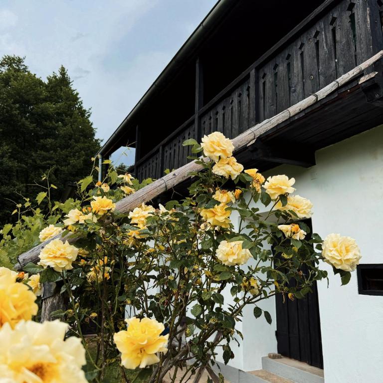 Ferienhaus Landliebe 1753 - Haus mit 1 Schlafzimmer - 20