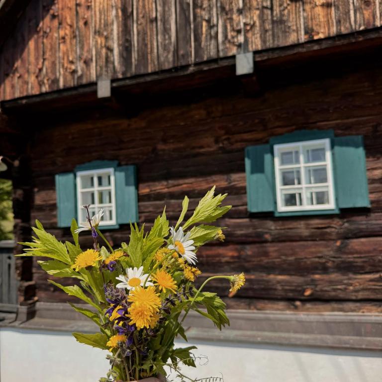 Ferienhaus Landliebe 1753 - Haus mit 1 Schlafzimmer - 17