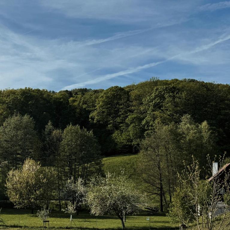Ferienhaus Landliebe 1753 - Haus mit 1 Schlafzimmer - 19