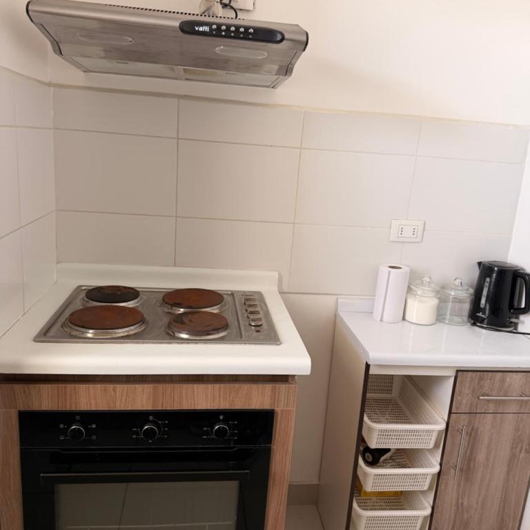Departamento Ejecutivo Cerca Hospital Regional y Carretera Ruta 5 - Apartamento - 8