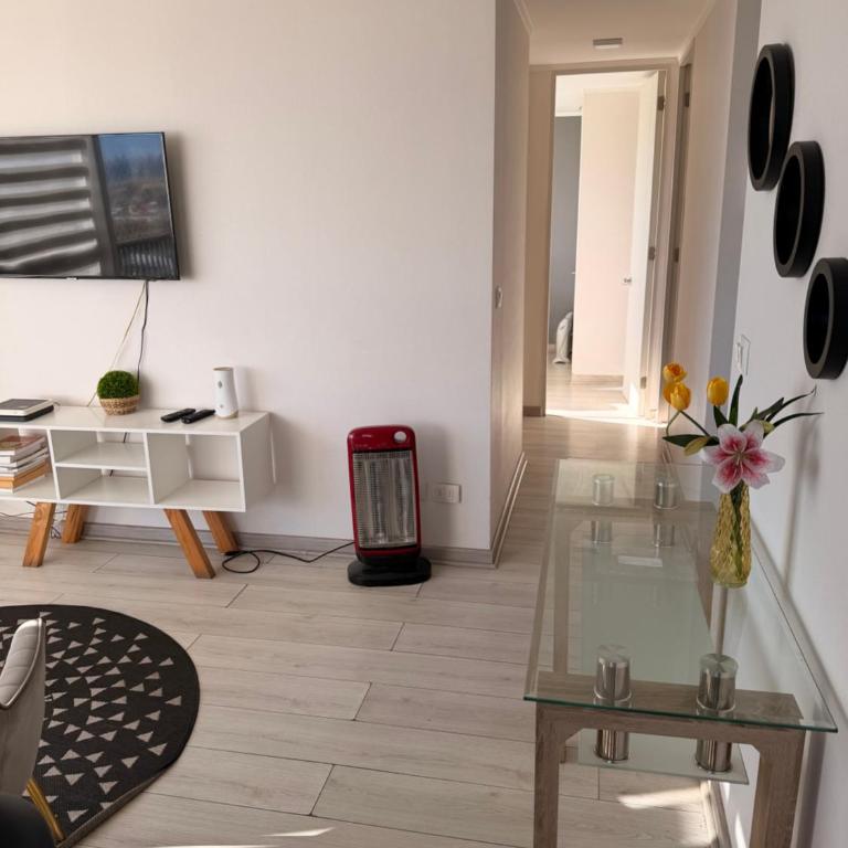 Departamento Ejecutivo Cerca Hospital Regional y Carretera Ruta 5 - Apartamento - 10