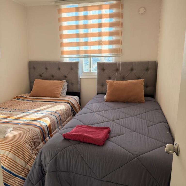 Departamento Ejecutivo Cerca Hospital Regional y Carretera Ruta 5 - Apartamento - 13