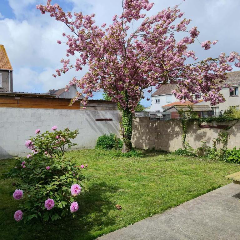 Chambre hawaïenne - Chambre Double avec Salle de Bains Privative - 9