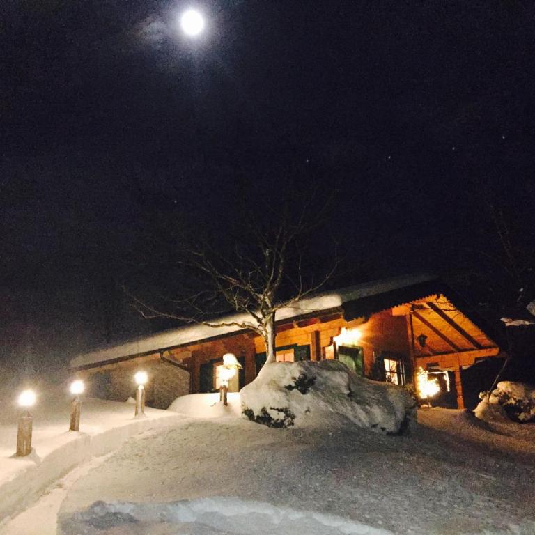 Jagdhütte - Chalet mit 2 Schlafzimmern - 1