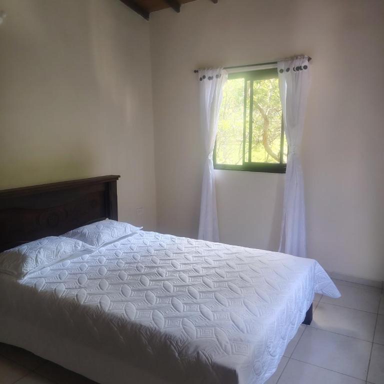 Hostal El Renacer - Habitación Doble - 5