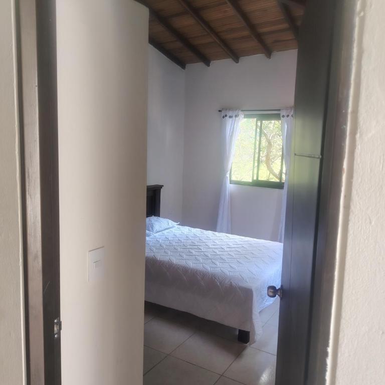 Hostal El Renacer - Habitación Doble - 34