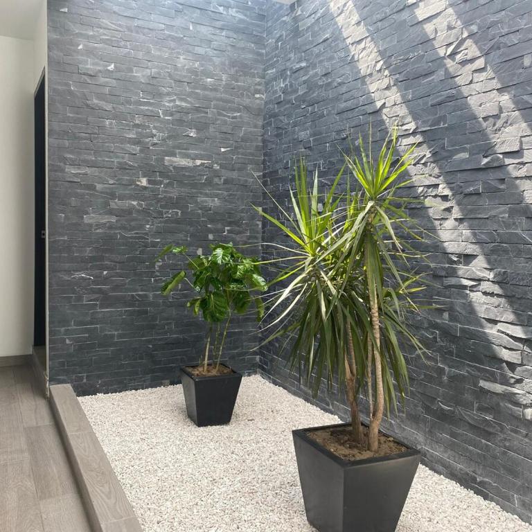 Departamento en Xochimilco - Apartamento de 3 dormitorios - 10