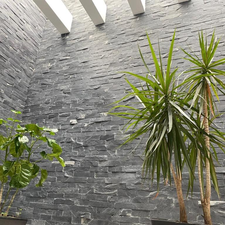 Departamento en Xochimilco - Apartamento de 3 dormitorios - 20