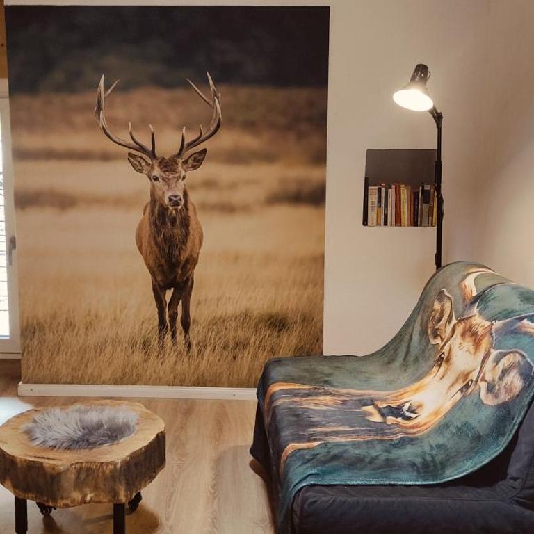 Il borghetto di Lele & Schina - Casa con 1 Camera da Letto - 1