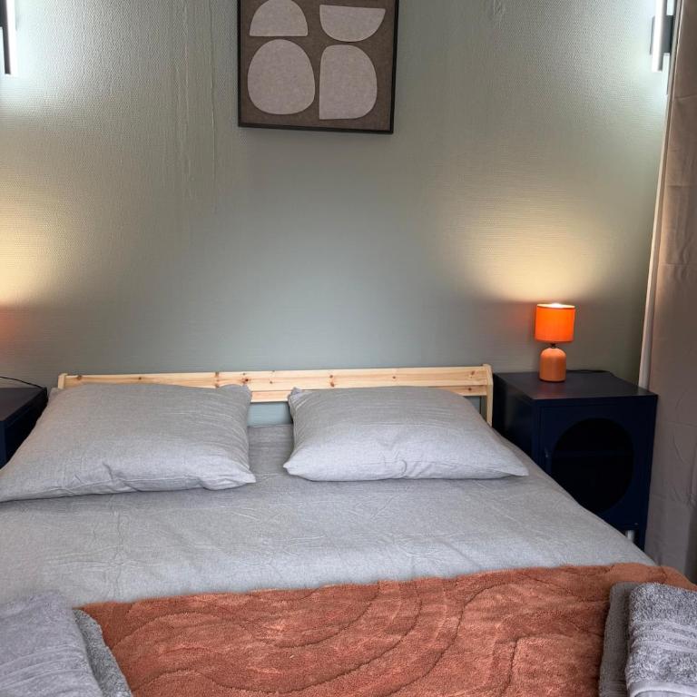 Duplex T2 cosy - Hyper Centre - Parking privé - Appartement 1 Chambre - 3