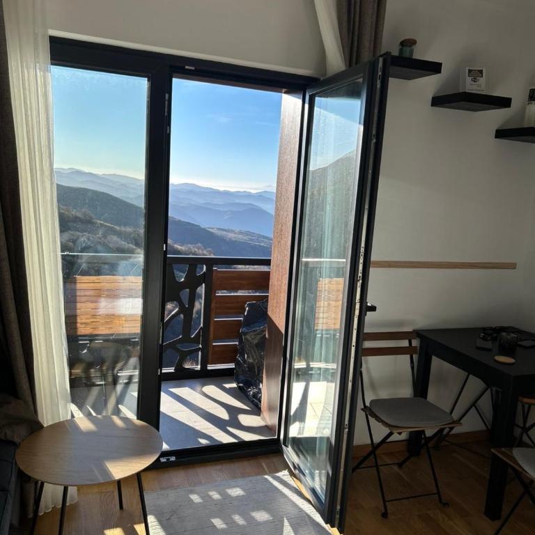 Vila Golija StudiovetKop - Studio-Apartment - 13