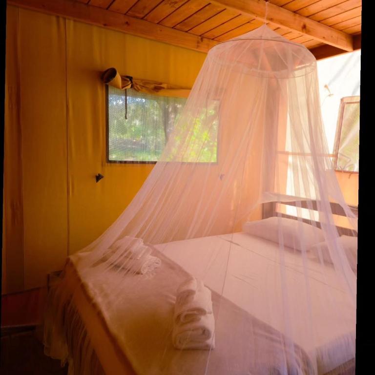 Le Piane Agriglamping - Bungalow Familiare - 1