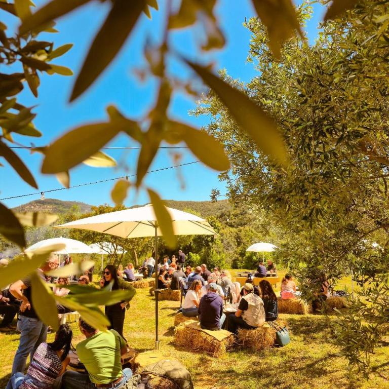 Le Piane Agriglamping - Bungalow Familiare - 3