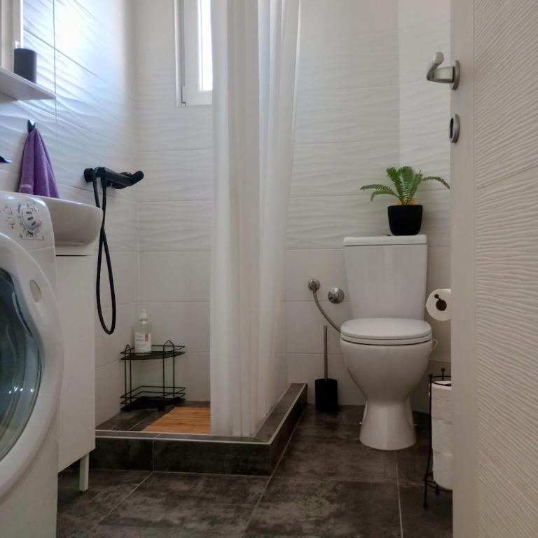 Bosko - Apartman sa 1 Spavaćom Sobom - 6