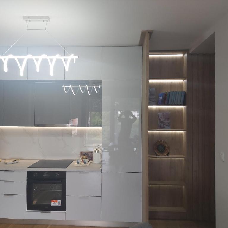 Modern cosy appartment Podgorica - Apartman sa 1 Spavaćom Sobom - 9