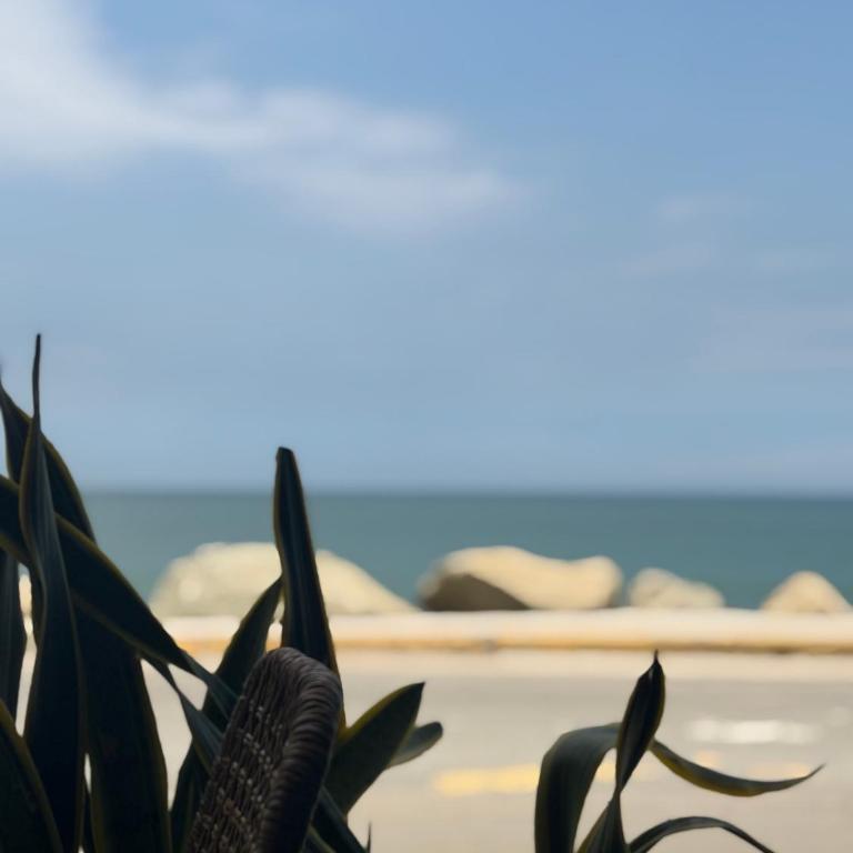 Crucita Beach - Two-Bedroom Apartment - 15