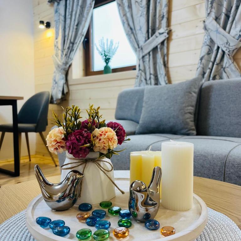 Aura Durmitor apartments - One-Bedroom Apartment - 1