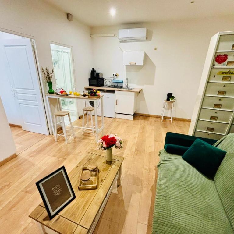 L'échappée verte - Proche gare - Saint Etienne - One-Bedroom Apartment - 3