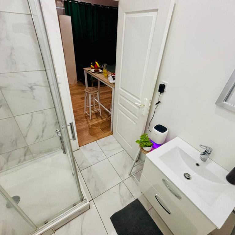 L'échappée verte - Proche gare - Saint Etienne - One-Bedroom Apartment - 4