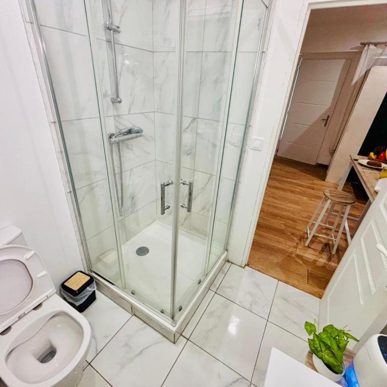 L'échappée verte - Proche gare - Saint Etienne - One-Bedroom Apartment - 9