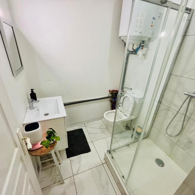 L'échappée verte - Proche gare - Saint Etienne - One-Bedroom Apartment - 14
