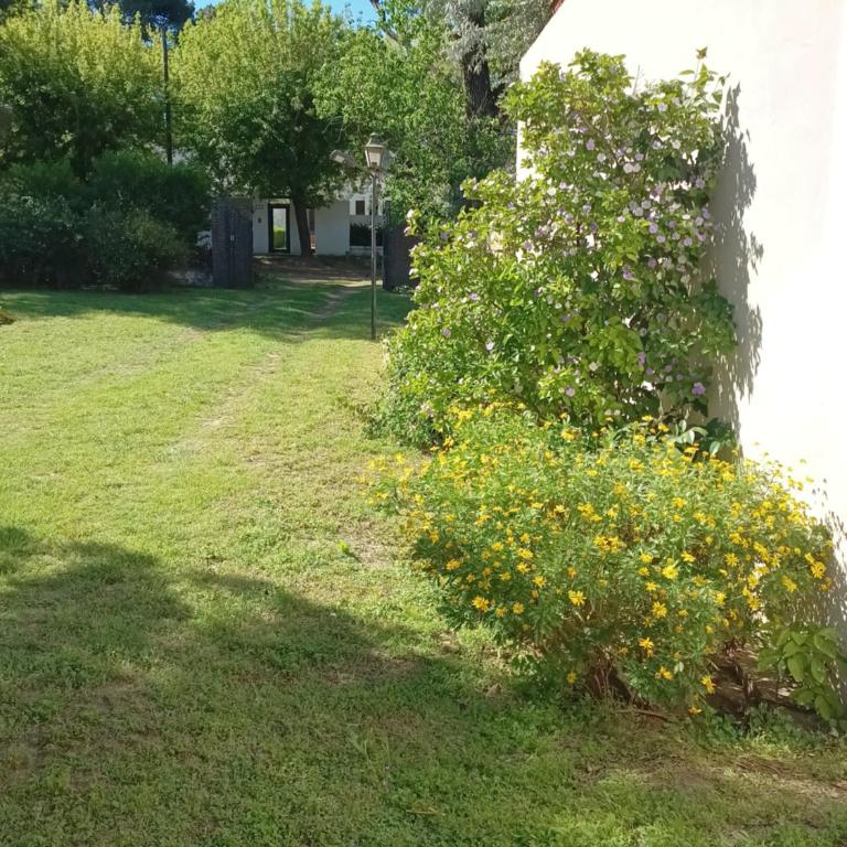 La Soñada - Two-Bedroom House - 11