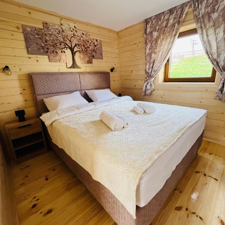 Aura Durmitor apartments - One-Bedroom Apartment - 4